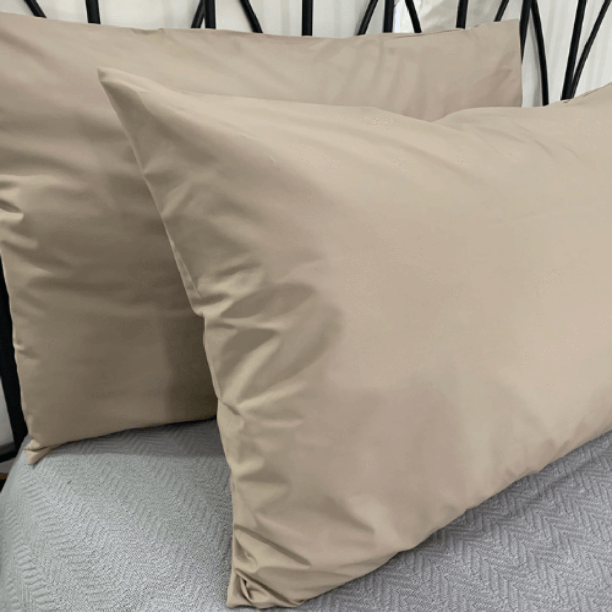 Pillowcase • Plain • 200T • 100% Cotton Percale - Image 8