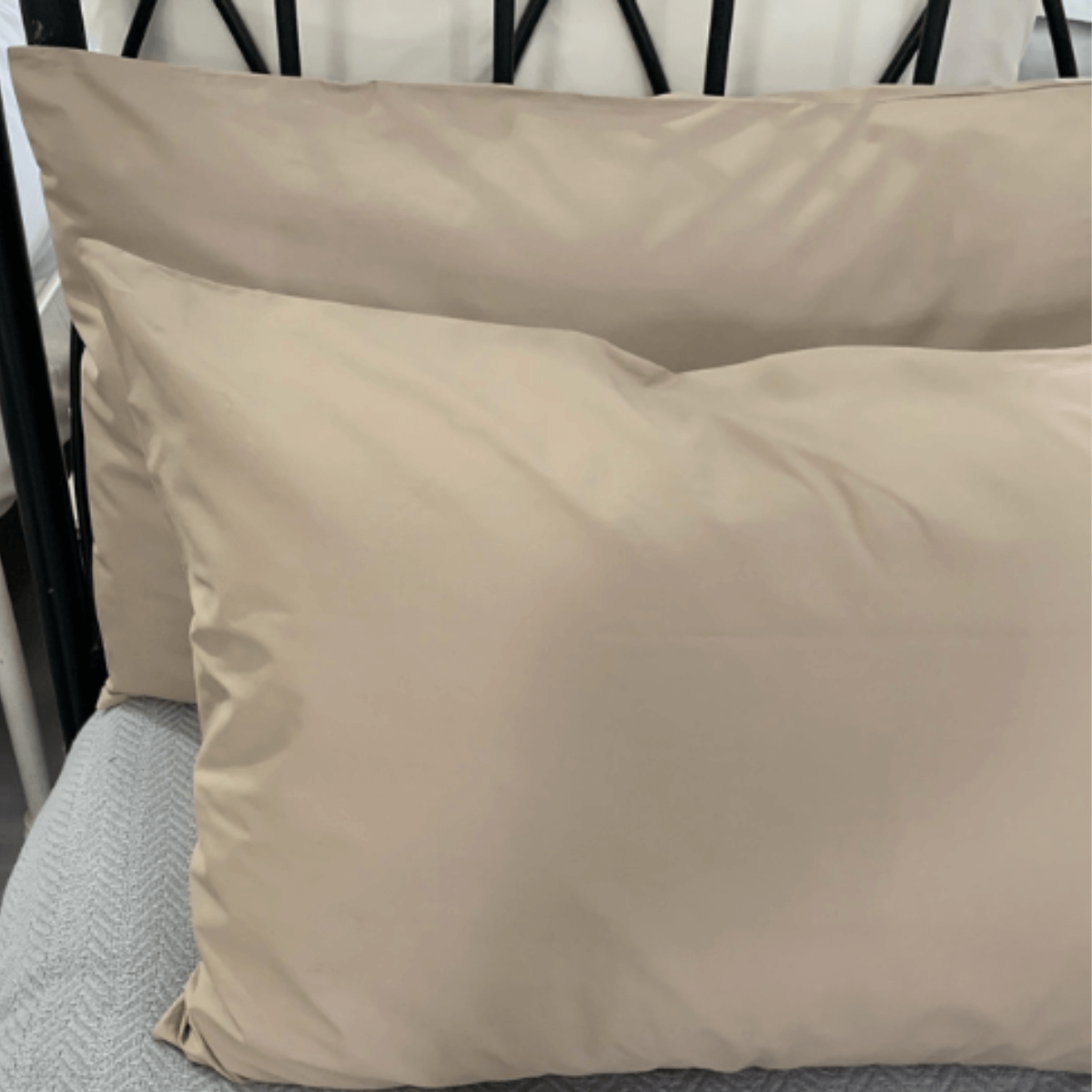 Pillowcase • Plain • 200T • 100% Cotton Percale - Image 9