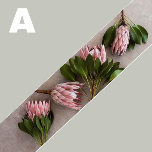 Runners • Luxury • Chenille - Image 2