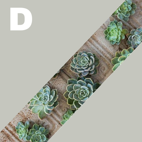 Runners • Luxury • Chenille - Image 5