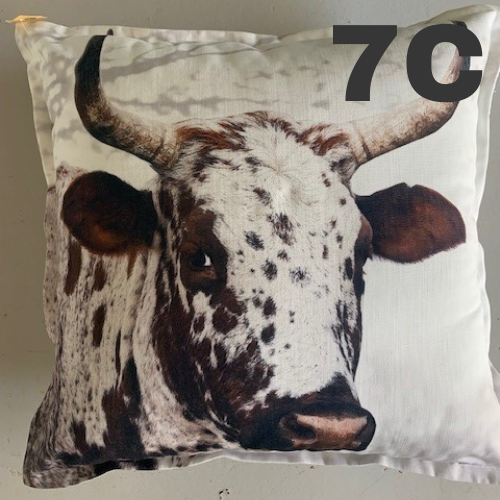 Scatter Cushion • Luxury • Large • Assorted - Image 6